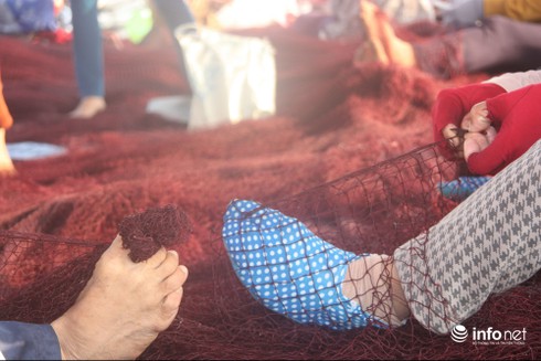 Du lịch Quảng Nam: Ngày mới tấp nập trên cầu cảng Lý Sơn - ảnh 8