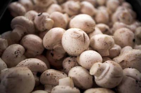 10 thực phẩm làm đẹp da - ảnh 3