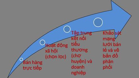 23 phiên chợ hàng Việt về nông thôn - ảnh 1