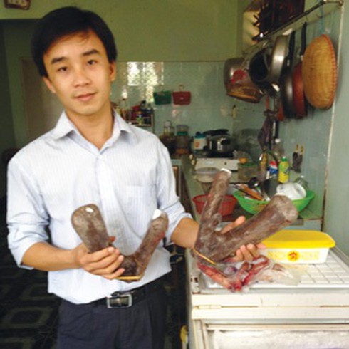 hươu nai Hiếu Liêm