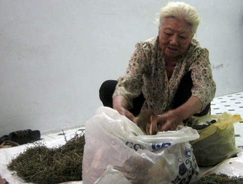 Những tấm lòng nhân ái - ảnh 2