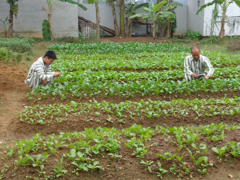 Tâm sự của phạm nhân buôn ma túy - ảnh 1