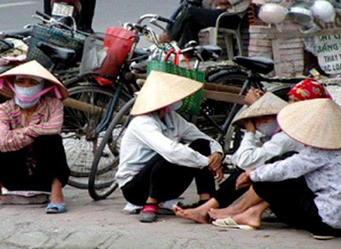 Lao động tự do bị “thả nổi”? - ảnh 1