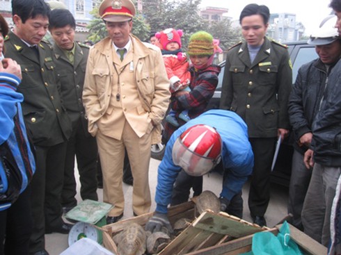 Chủ hàng thách thức CSGT - ảnh 1