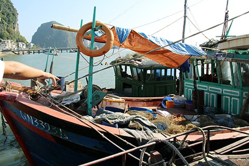 Quảng Ninh: Bắt 8 tàu dùng kích điện đánh bắt cá trên vịnh Hạ Long - ảnh 1