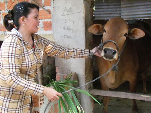 Quãng Ngãi: 8,8 tỷ đồng xây dựng nông thôn mới - ảnh 1