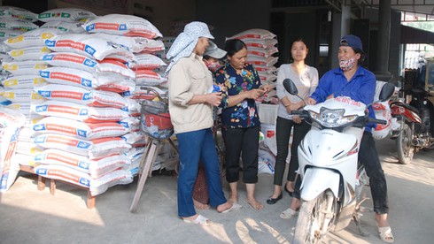  Hà Nam: Dạy nghề cho nông dân gắn với nhu cầu thực tế - ảnh 1