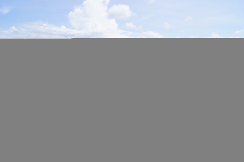 Nước biển đang ô nhiễm nặng - ảnh 1