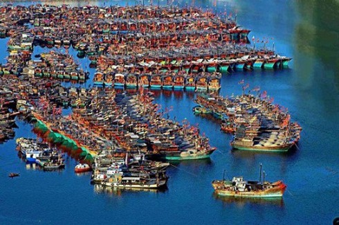 Tăng cường biện pháp bảo vệ tài nguyên môi trường biển - ảnh 3