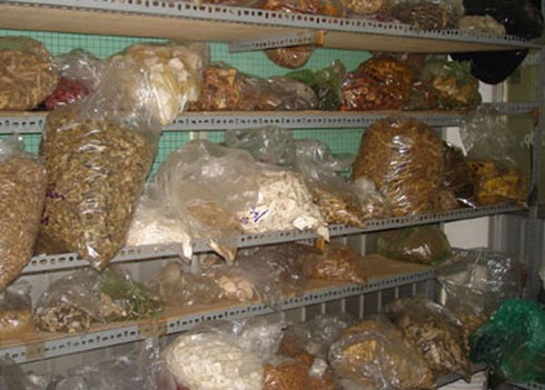 Bộ Y tế: 60% mẫu thuốc đông y chưa đạt chất lượng - ảnh 1