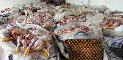 Hà Nội tăng cường kiểm tra vệ sinh ATTP Tết Nguyên đán - ảnh 1