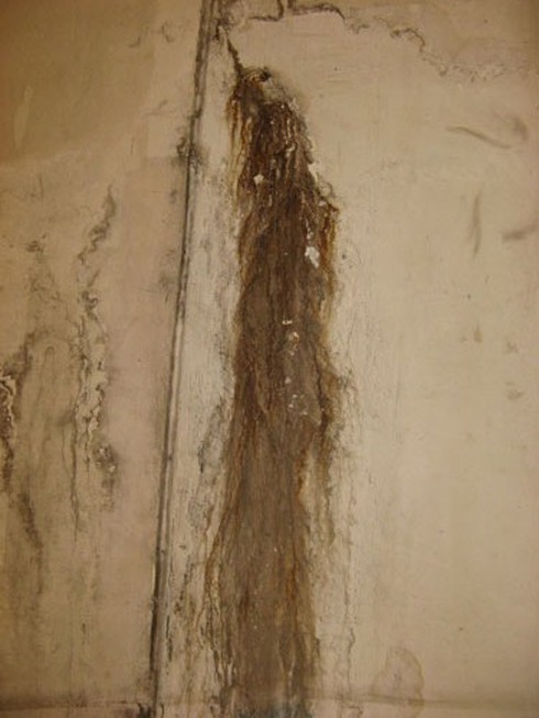 Hầm Kim Liên nứt vỡ hay chỉ rò rỉ nước? - ảnh 8