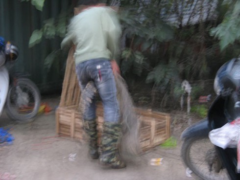 Xẻ thịt cá sấu bán trên vỉa hè Hà Nội - ảnh 9