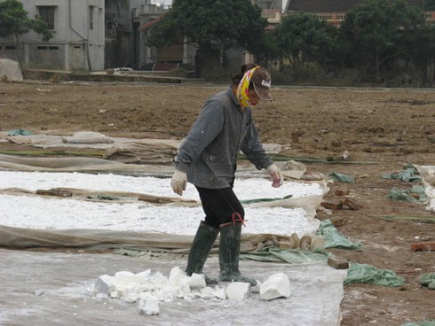 Cận cảnh miến bẩn