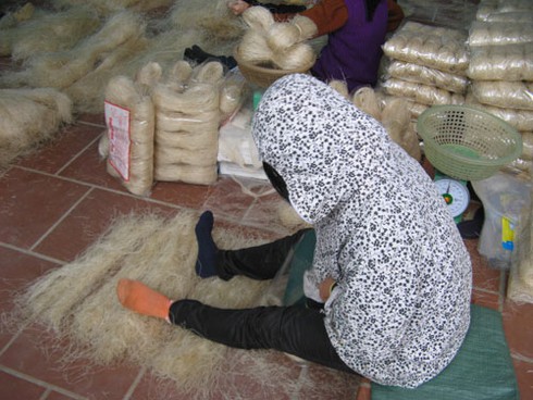 Cận cảnh miến bẩn