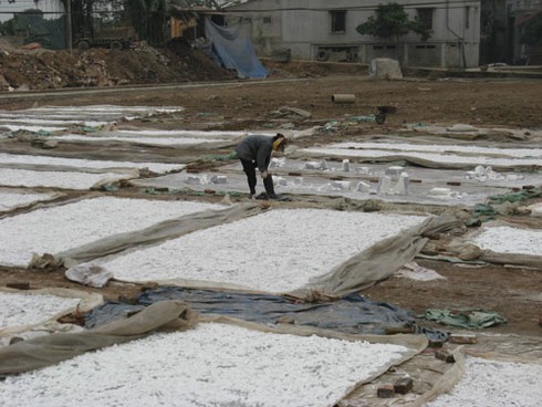 Cận cảnh miến bẩn