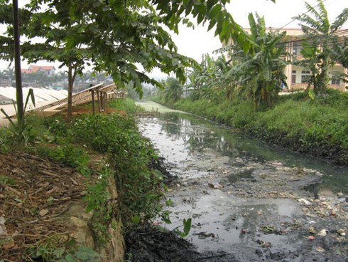 Cận cảnh miến bẩn