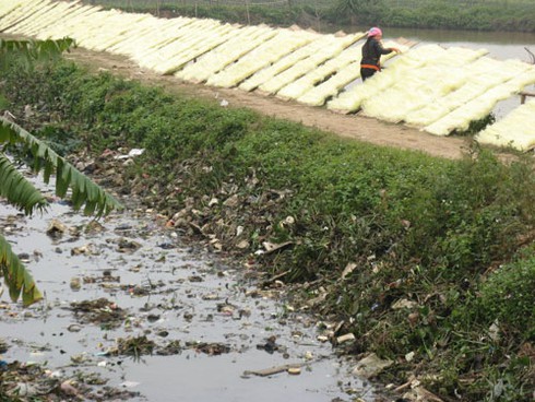 Cận cảnh miến bẩn