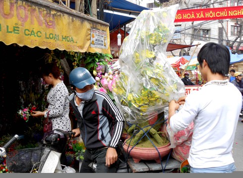 Chợ hoa Hàng Lược rực rỡ đón Tết - ảnh 8
