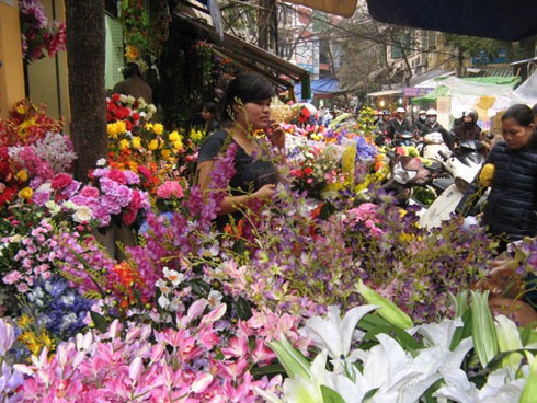 Chợ hoa Hàng Lược rực rỡ đón Tết - ảnh 1
