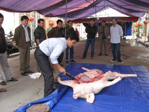 Về La Phù xem rước “ông ỉn” - ảnh 5