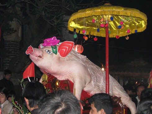 Về La Phù xem rước “ông ỉn” - ảnh 1