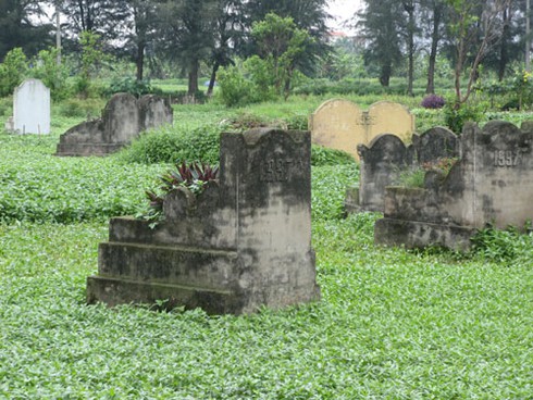 Rau trồng trong nghĩa địa: Chỉ để bán, không ăn! - ảnh 2