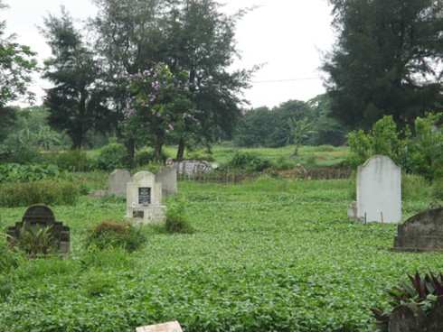 Rau trồng trong nghĩa địa: Chỉ để bán, không ăn! - ảnh 5