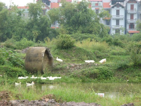 Mở rộng địa giới Thủ đô: Nhiều dự án BĐS thả trâu, nuôi vịt - ảnh 8