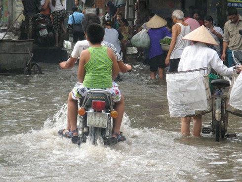 Ngôi làng cổ trở thành “ốc đảo” vì nước sông Nhuệ - ảnh 8