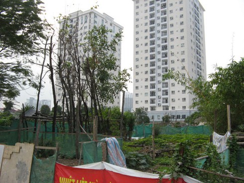 Khu đô thị Phùng Khoang: Nuôi gà, trồng rau cạnh biệt thự - ảnh 1