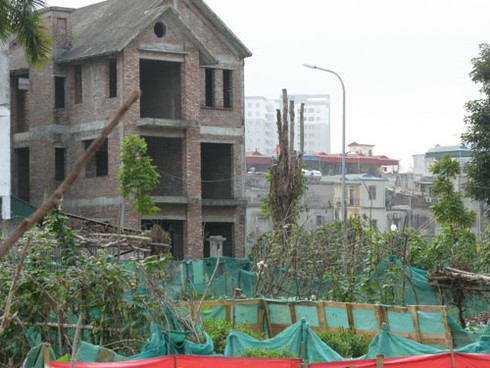 Khu đô thị Phùng Khoang: Nuôi gà, trồng rau cạnh biệt thự - ảnh 8