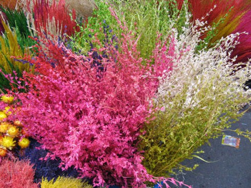 Ngắm chợ hoa Hàng Lược cuối năm - ảnh 12