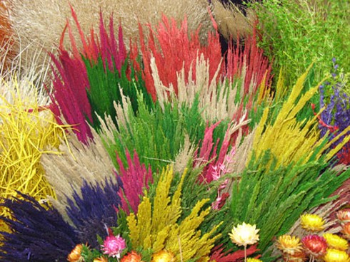 Ngắm chợ hoa Hàng Lược cuối năm - ảnh 13