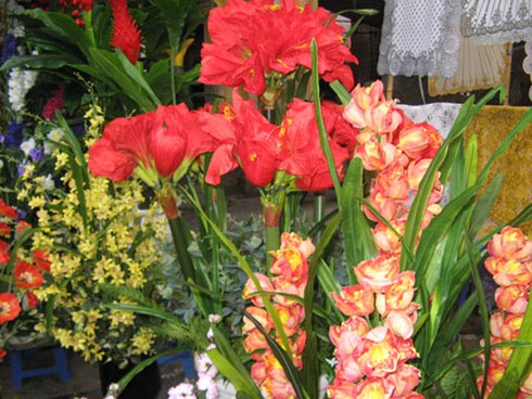 Ngắm chợ hoa Hàng Lược cuối năm - ảnh 14