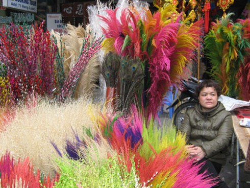 Ngắm chợ hoa Hàng Lược cuối năm - ảnh 15