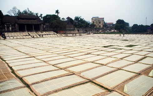 Làng làm miến rộn ràng đón tết sớm - ảnh 12