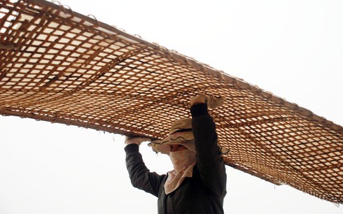 Làng làm miến rộn ràng đón tết sớm - ảnh 4