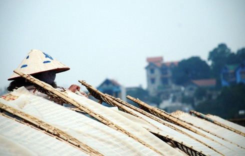 Làng làm miến rộn ràng đón tết sớm - ảnh 5