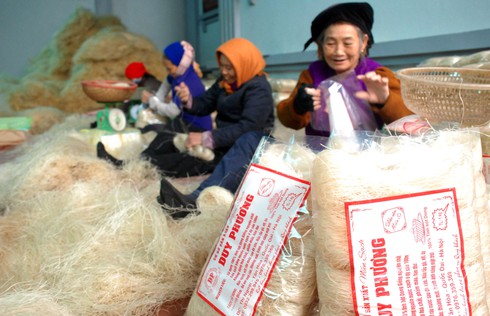 Làng làm miến rộn ràng đón tết sớm - ảnh 8