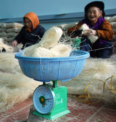 Làng làm miến rộn ràng đón tết sớm - ảnh 9