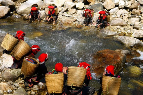 Nhà báo bán ảnh gây quỹ từ thiện - ảnh 1