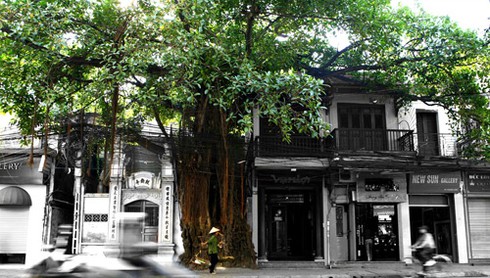 Nhà báo bán ảnh gây quỹ từ thiện - ảnh 6