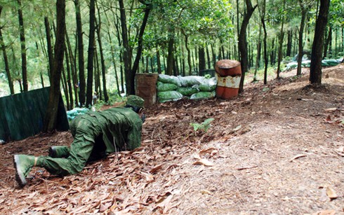 Giới trẻ Hà Nội hào hứng tham chiến