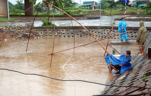 Người dân Thủ đô nặng giỏ cá trê, cá chép sau mưa lớn - ảnh 1