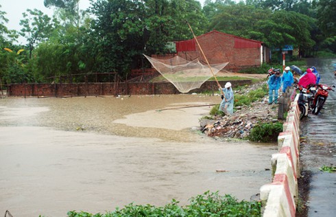 Người dân Thủ đô nặng giỏ cá trê, cá chép sau mưa lớn - ảnh 6