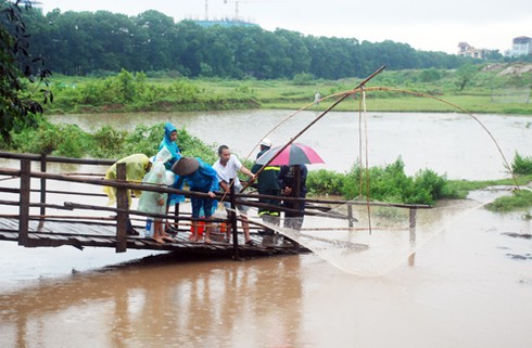 Người dân Thủ đô nặng giỏ cá trê, cá chép sau mưa lớn - ảnh 8