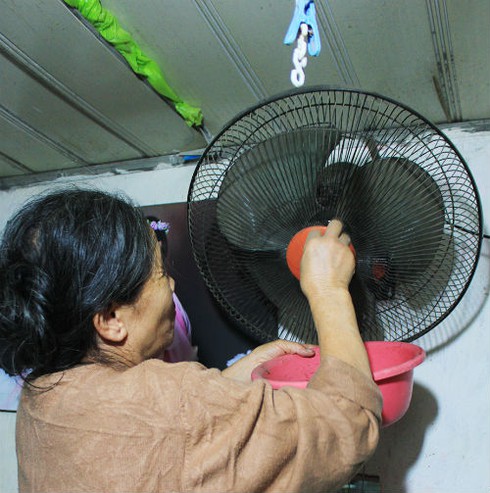 Cụ bà 70 tuổi nhặt rác lấy tiền nuôi con trai bị điên và cháu nhỏ - ảnh 6