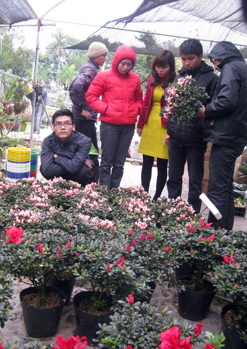 Hoa cảnh Trung Quốc tràn ngập - ảnh 13