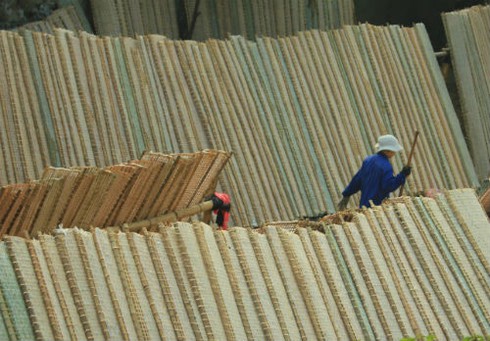 Làng Bánh đa Ngự Câu nhộn nhịp vào ca Tết - ảnh 7